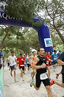 219-copier.jpg 219-copier.jpg