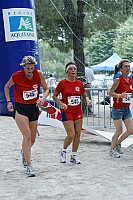 556-copier.jpg 556-copier.jpg