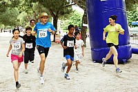 104-copier.jpg 104-copier.jpg