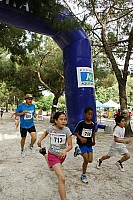 109-copier.jpg 109-copier.jpg